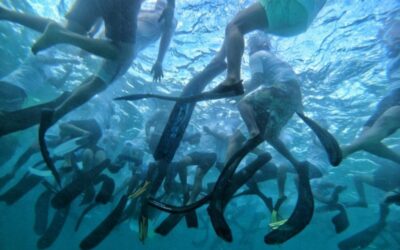 Freediving World Record