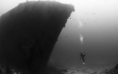 Maldive Victory Wreck 40th Anniversary